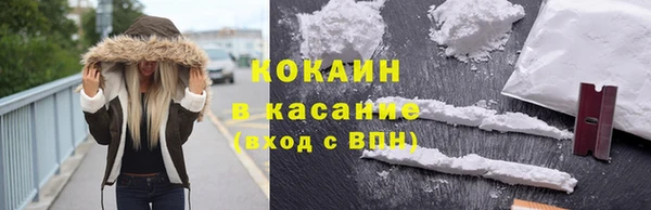 крисы Армянск