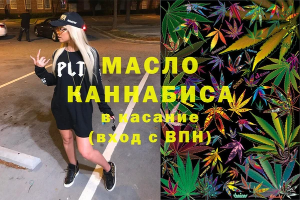 амф Каменка