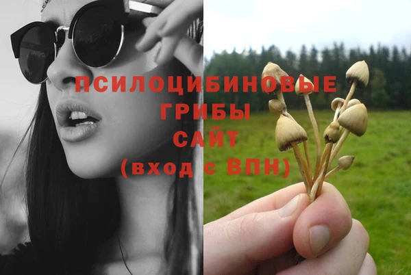 крисы Армянск