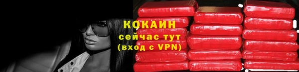 крисы Армянск
