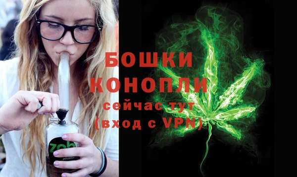 spice Арсеньев