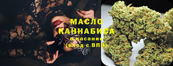 крисы Армянск