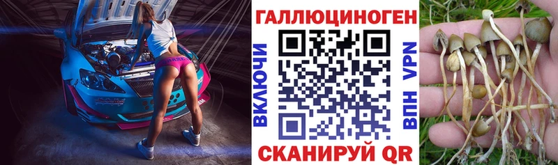 Псилоцибиновые грибы ЛСД  где можно купить   Пустошка 